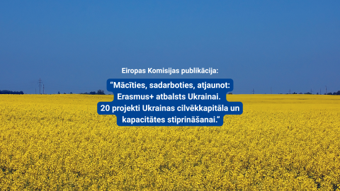 Rapšu lauks, zilas debesis