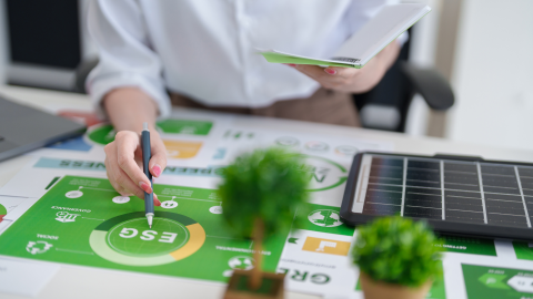 Zaļā pārveide, stratēģija, saules panelis, zaļi dekoratīvi koki