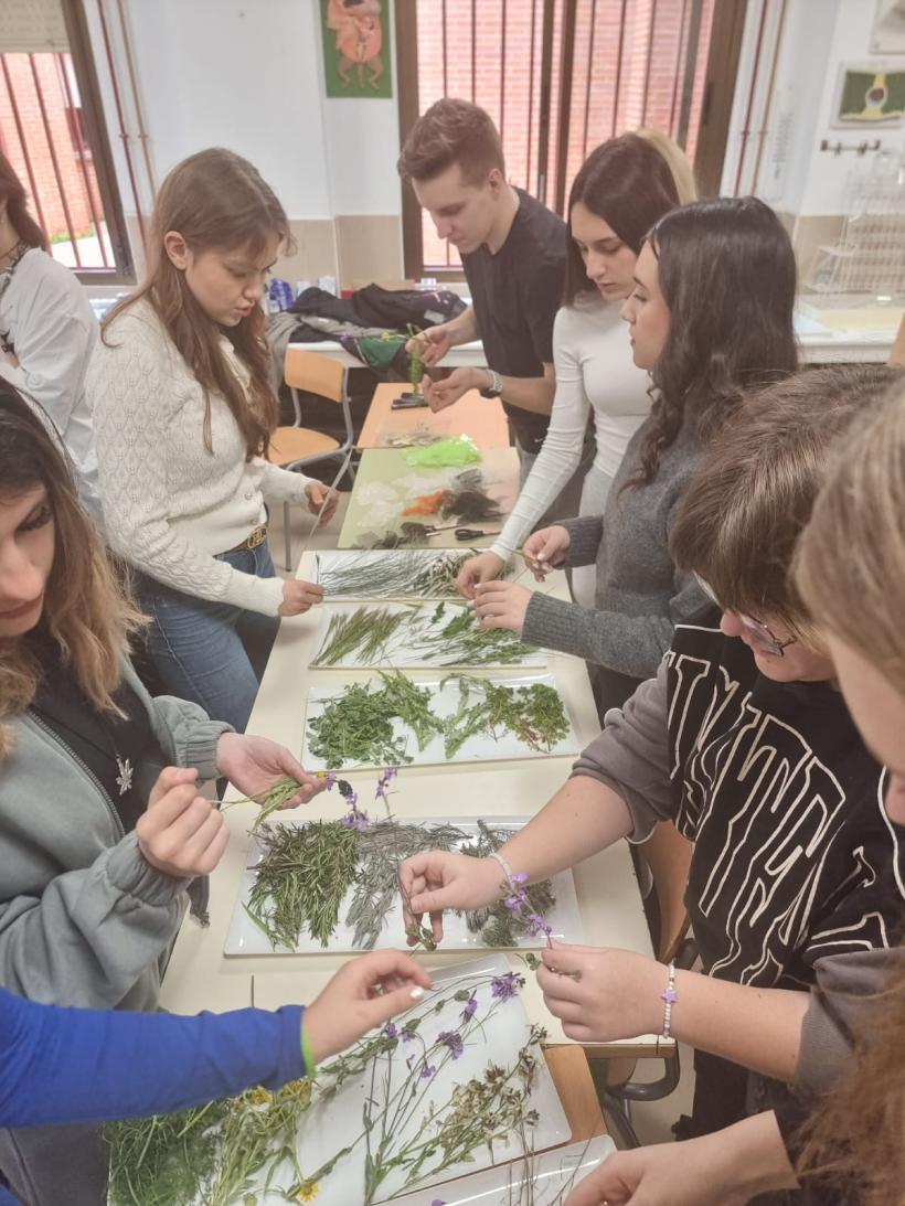 Erasmus+ maza mēroga partnerības projekts “Zaļā atslēga dzīvei un mācībām”